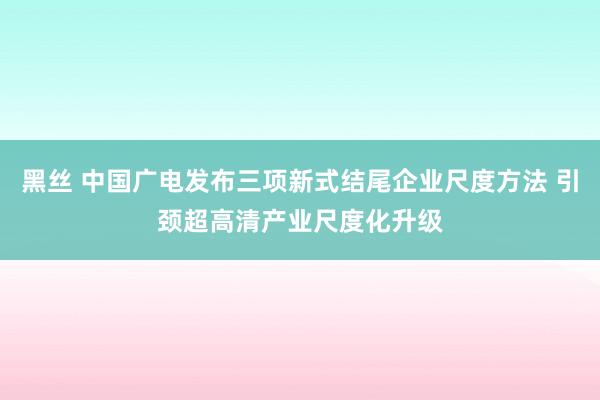 黑丝 中国广电发布三项新式结尾企业尺度方法 引颈超高清产业尺度化升级