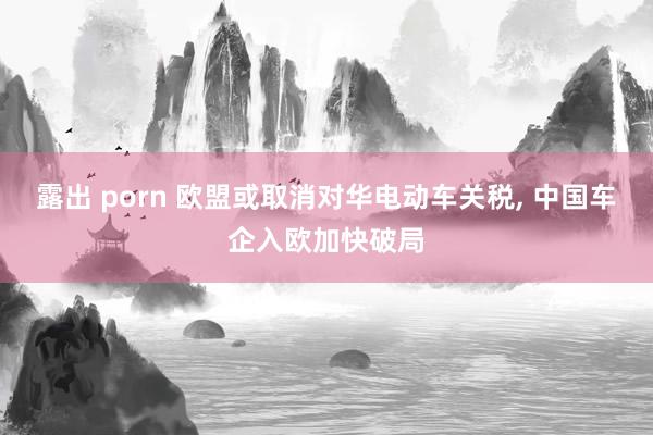 露出 porn 欧盟或取消对华电动车关税， 中国车企入欧加快破局