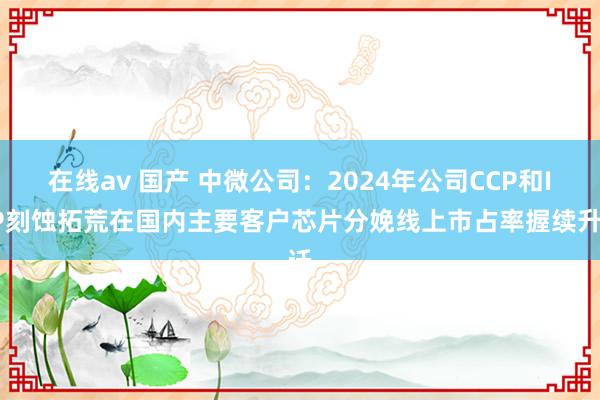 在线av 国产 中微公司：2024年公司CCP和ICP刻蚀拓荒在国内主要客户芯片分娩线上市占率握续升迁