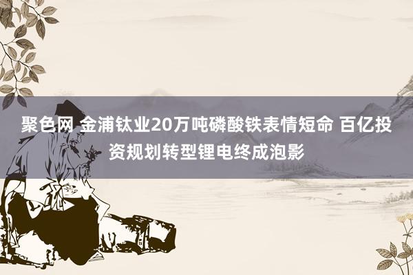 聚色网 金浦钛业20万吨磷酸铁表情短命 百亿投资规划转型锂电终成泡影