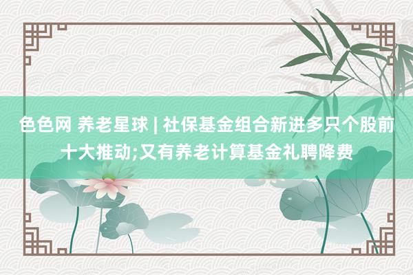 色色网 养老星球 | 社保基金组合新进多只个股前十大推动;又有养老计算基金礼聘降费
