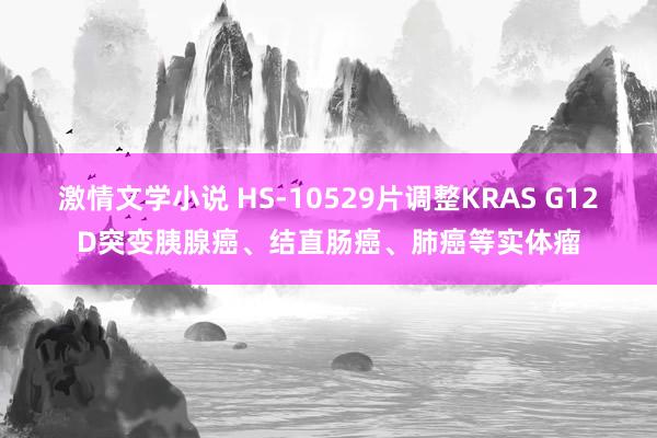 激情文学小说 HS-10529片调整KRAS G12D突变胰腺癌、结直肠癌、肺癌等实体瘤