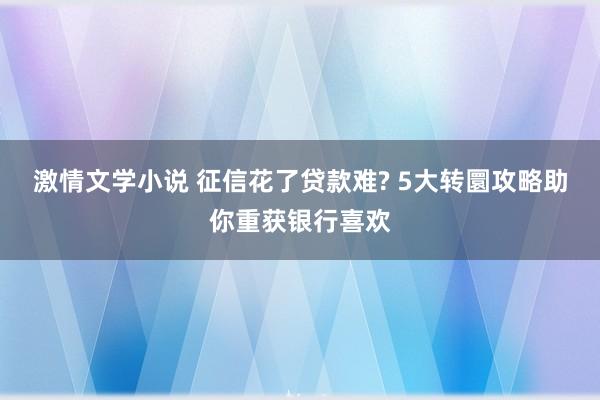 激情文学小说 征信花了贷款难? 5大转圜攻略助你重获银行喜欢