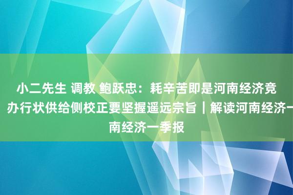 小二先生 调教 鲍跃忠：耗辛苦即是河南经济竞争力，办行状供给侧校正要坚握遥远宗旨｜解读河南经济一季报
