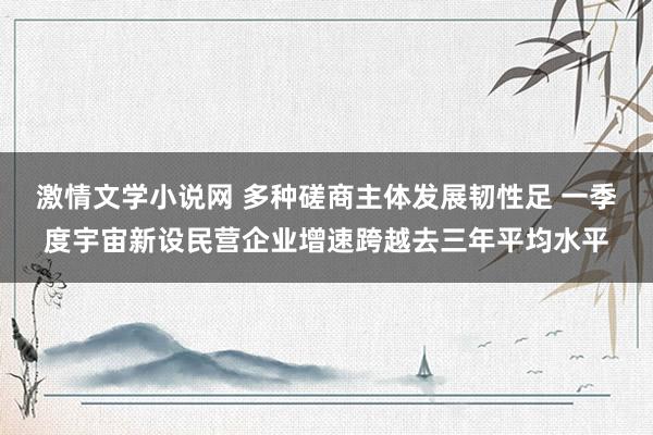 激情文学小说网 多种磋商主体发展韧性足 一季度宇宙新设民营企业增速跨越去三年平均水平