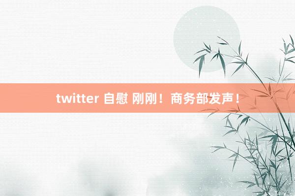 twitter 自慰 刚刚！商务部发声！