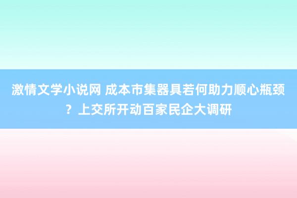 激情文学小说网 成本市集器具若何助力顺心瓶颈？上交所开动百家民企大调研