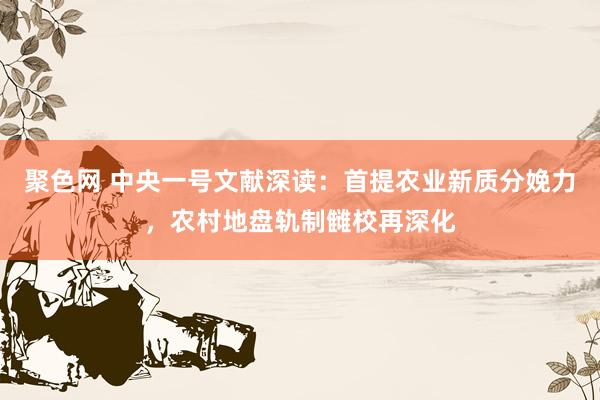 聚色网 中央一号文献深读：首提农业新质分娩力，农村地盘轨制雠校再深化