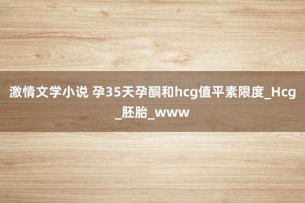 激情文学小说 孕35天孕酮和hcg值平素限度_Hcg_胚胎_www