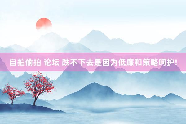 自拍偷拍 论坛 跌不下去是因为低廉和策略呵护!