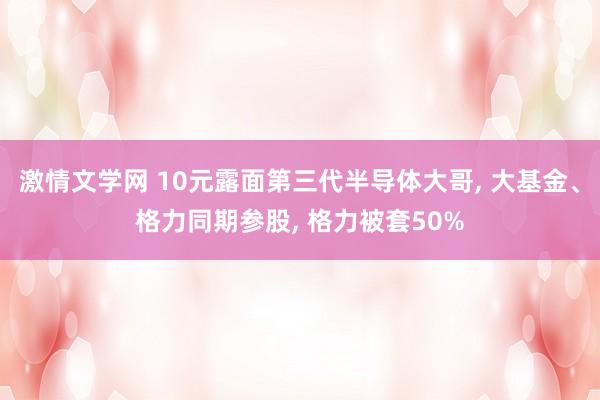 激情文学网 10元露面第三代半导体大哥， 大基金、格力同期参股， 格力被套50%