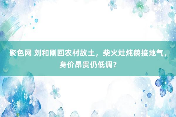 聚色网 刘和刚回农村故土，柴火灶炖鹅接地气，身价昂贵仍低调？