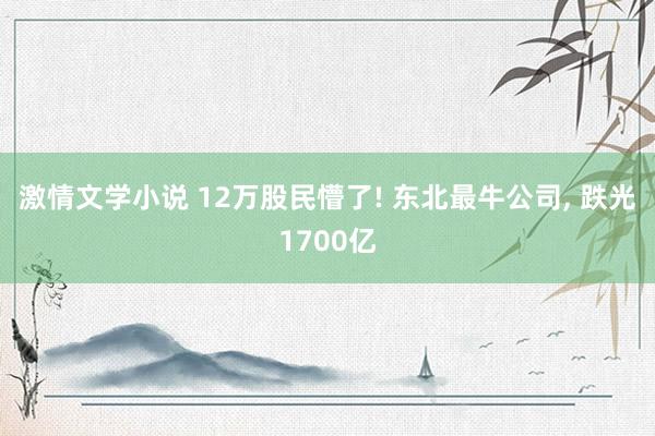 激情文学小说 12万股民懵了! 东北最牛公司， 跌光1700亿