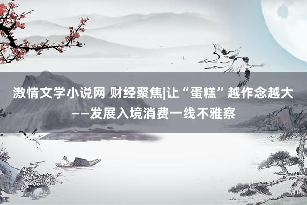 激情文学小说网 财经聚焦|让“蛋糕”越作念越大——发展入境消费一线不雅察