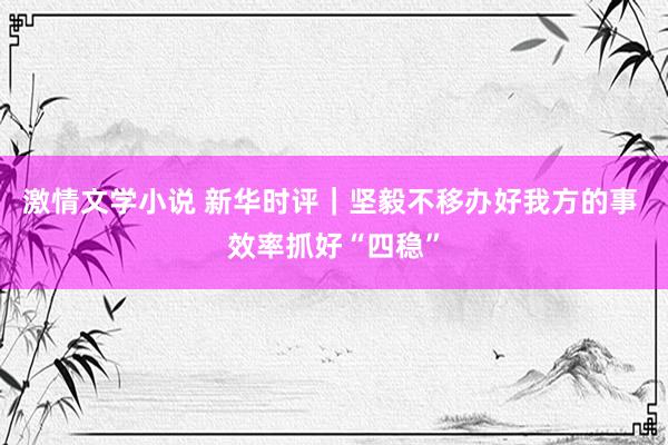 激情文学小说 新华时评｜坚毅不移办好我方的事 效率抓好“四稳”