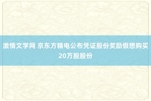 激情文学网 京东方精电公布凭证股份奖励假想购买20万股股份
